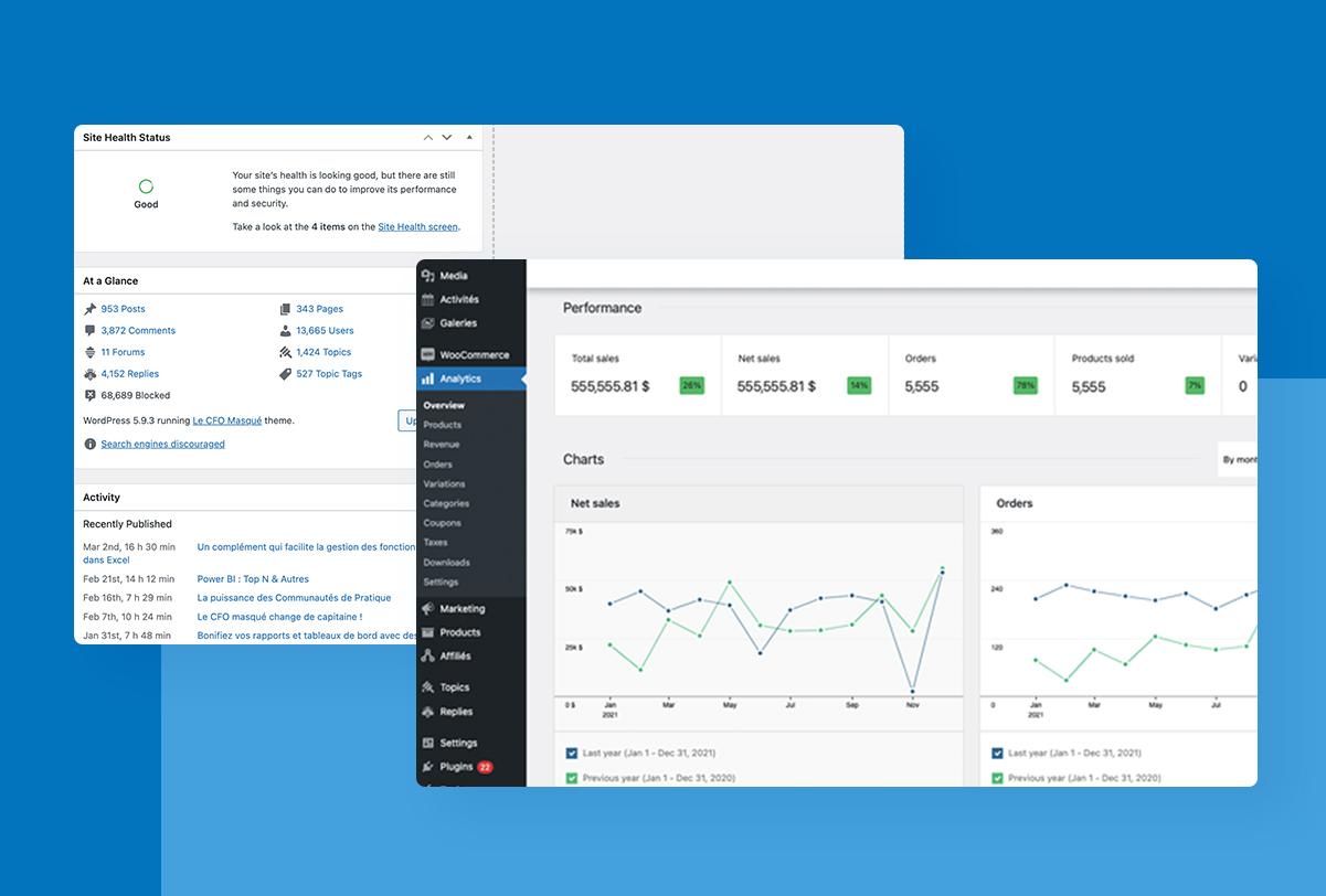 Data is gathered in the custom WordPress CMS, which facilitates the owners' work. They can easily compile and analyze data in order to tweak company goals and KPIs.