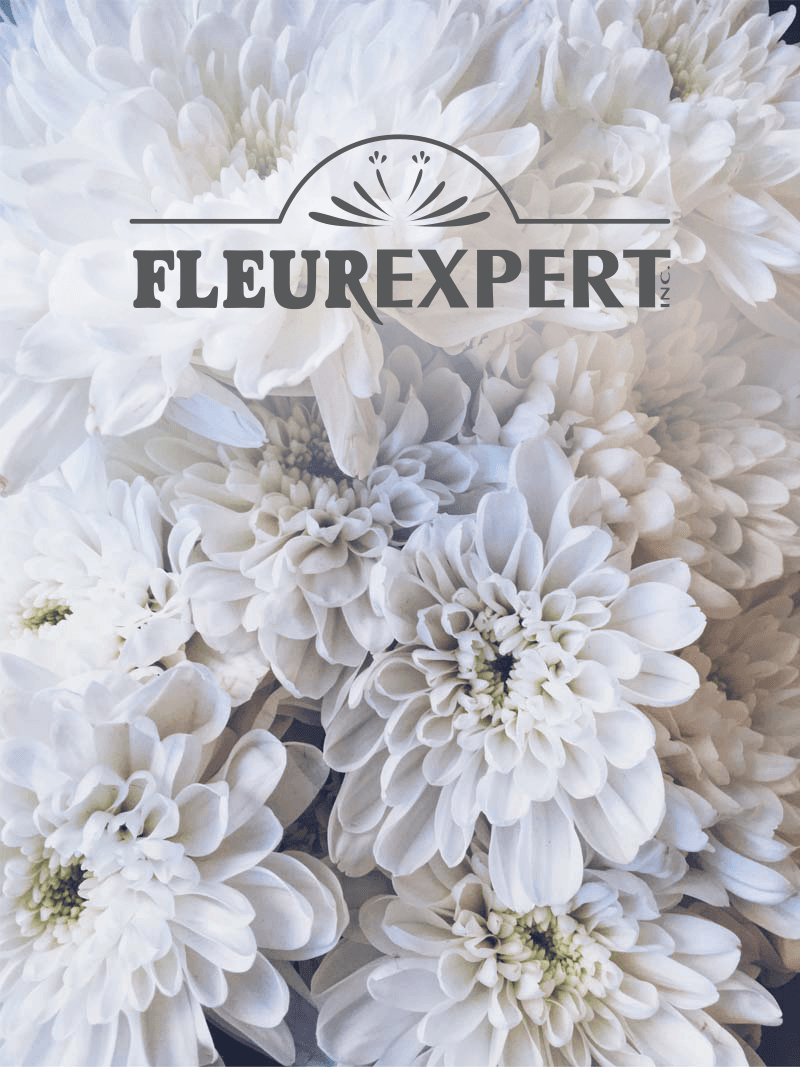 Fleurexpert centralise les opérations de ses 3 compagnies soeurs grâce à un ERP et une plateforme web développée sur mesure.